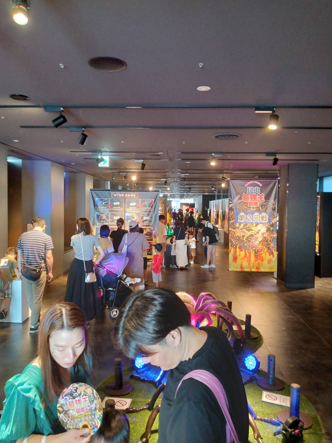 昆虫最強図鑑展